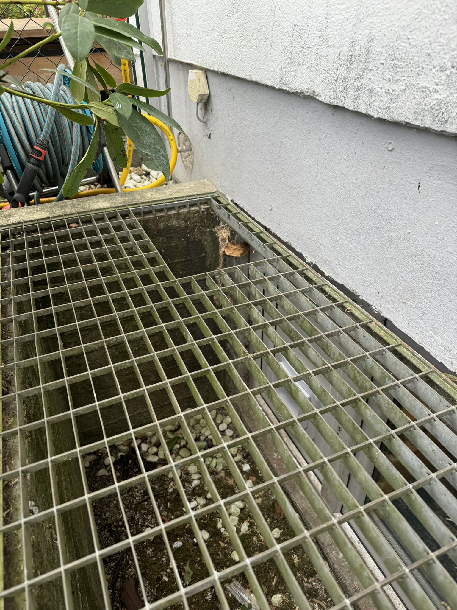 katzenklappe-klappe-katze-Glaser-Fenster-Balkontür-Tür