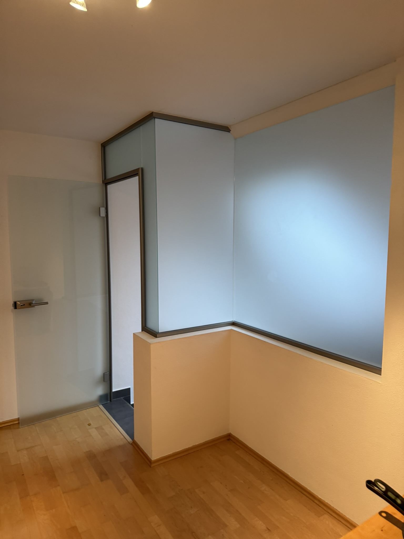 Glastür-Glaswand-Büro-Glas-Trennwand-Glastrennwand-Türe-Glaser