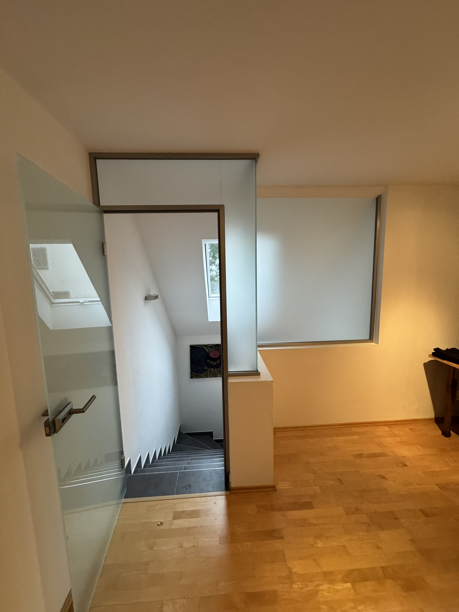 Glastür-Glaswand-Büro-Glas-Trennwand-Glastrennwand-Türe-Glaser